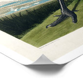 Grue à capuchon par Audubon Poster (Coin)