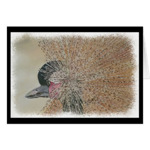 GRUE AFRICAINE MAGNIFIQUE