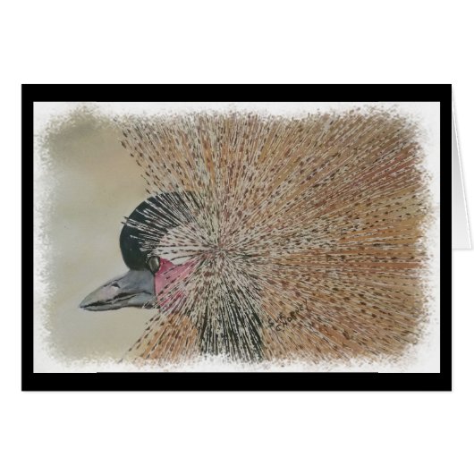 GRUE AFRICAINE MAGNIFIQUE (Devant horizontal)