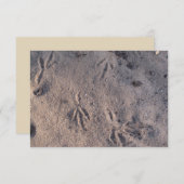 Grue de sable dans le sable sur une carte (Devant / Derrière)