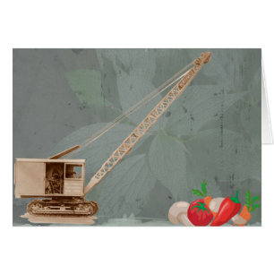 Grue du Nord-Ouest dans l'exploitant de la grue du