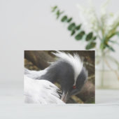 Grue Fermer do-it-yourself carte postale (Debout devant)