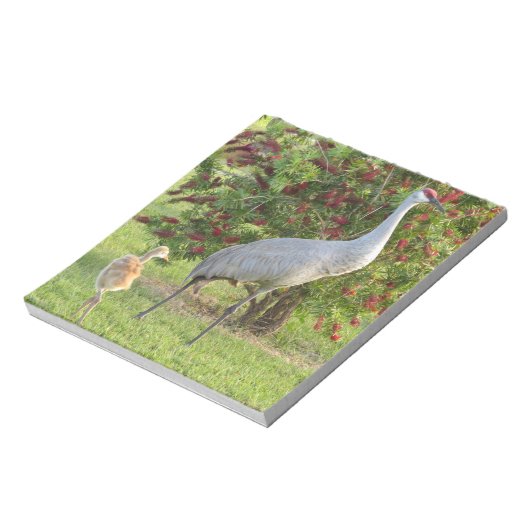 Grue Sandhill avec poussette au Bloc-notes Bottleb (Tourné)