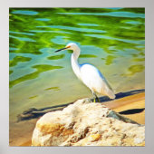 Grue sur la rivière Mismaloya 0335 Impression d'ar (Devant)