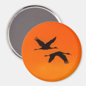 Grues de Sandhill volent dans le aimant du coucher (Recto/Verso)