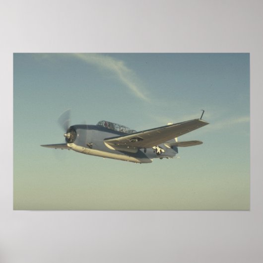 Grumman TBM Avenger Chino Poster (Voorkant)