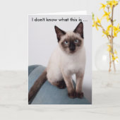 Grumpis à regarder le chat sur une carte d'anniver (Fleur jaune)