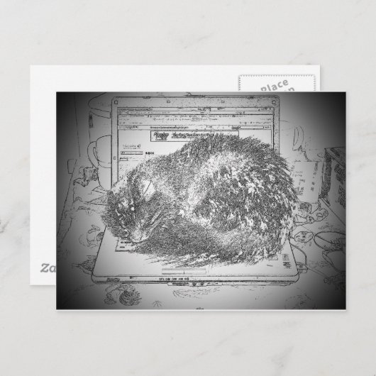 Grumpy Angel op een laptoplap kat? Briefkaart (Voorkant / Achterkant)