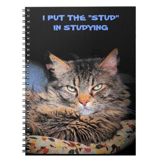 Grumpy Angel zet de Stud in Studeren Notitieboek (Voorkant)