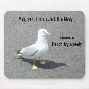 Grumpy Begger Seagull Animal Meme Muismat