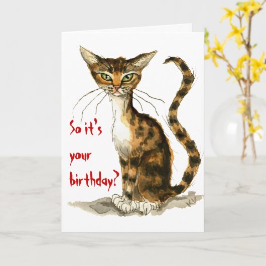 Grumpy bruin tabby kat grappige verjaardagskaart kaart (Gele Bloem)