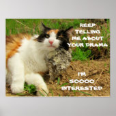 Grumpy Calico Cat Drama Sarcasm Poster (Voorkant)