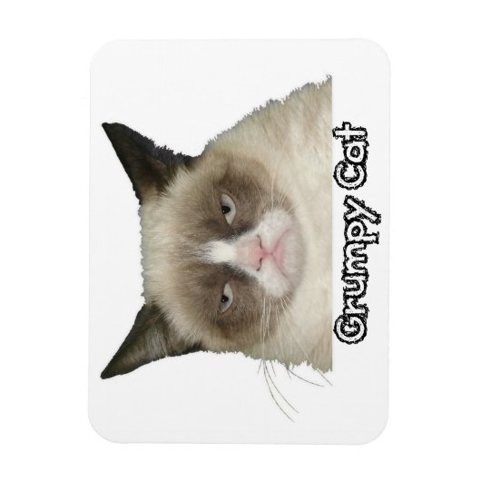Grumpy Cat 3x4 flexibele magneet (Verticaal)