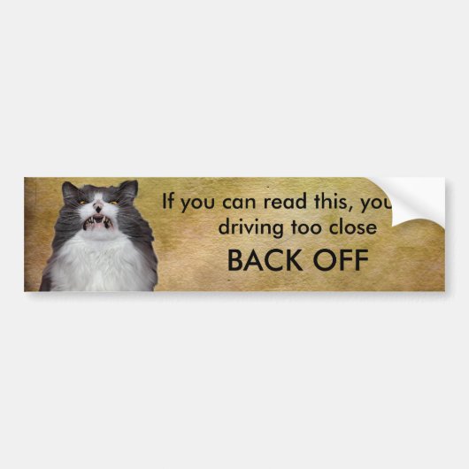 Grumpy Cat Blijf Af Bumper Sticker Sjabloon (Voorkant)