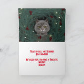 GRUMPY CAT CHRISTMAS KAART VOOR IEDEREEN (Binnen)