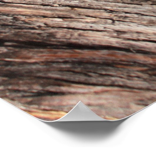 Grumpy Cat™ dans un arbre Poster (Coin)