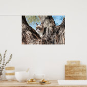 Grumpy Cat™ dans un arbre Poster (Cuisine)