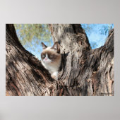 Grumpy Cat™ dans un arbre Poster (Devant)