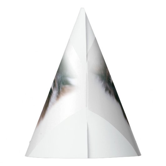 Grumpy Cat Feesthoedjes (Achterkant)