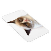 Grumpy Cat flexibele magneet (Rechterzijde)