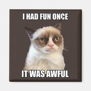 Grumpy Cat - Ik had ooit plezier Magneet