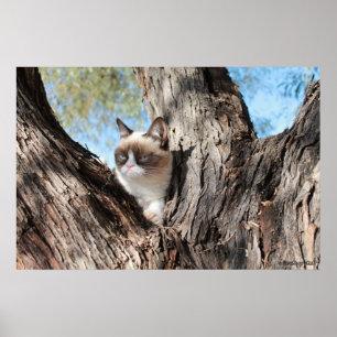 Grumpy Cat™ in een Poster van de Boom