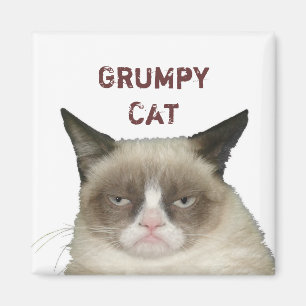 Grumpy Cat Magnet met Tekst Magneet