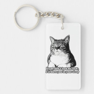 Grumpy cat meme voor kattenliefhebbers en eigenaar sleutelhanger