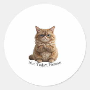 Grumpy Cat "niet vandaag, mens" Sticker Funny Fluf