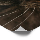 Grumpy Cat Poster (Hoek)