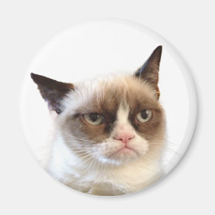 Grumpy Cat Round Magnet Magneet