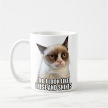 Grumpy chat Mug
