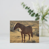 Grumpy Chestnut Briefkaart (Staand voorkant)