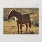 Grumpy Chestnut Briefkaart (Voorkant)