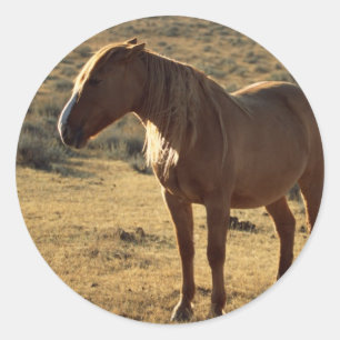 Grumpy Chestnut Ronde Sticker