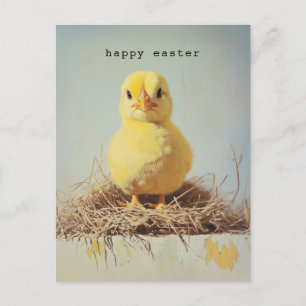 Grumpy Chick in het nest Briefkaart