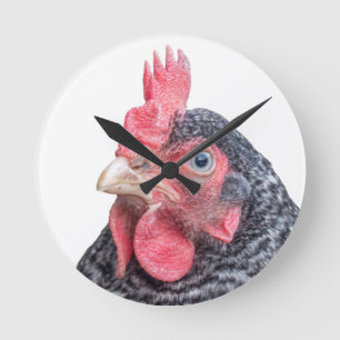 Grumpy Chicken Funny Frowning Hen Foto Ronde Klok