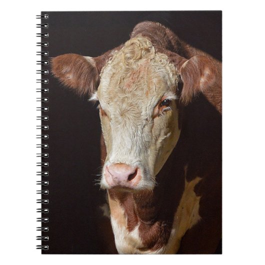 Grumpy Cow Notitieboek (Voorkant)