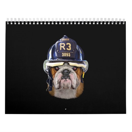 Grumpy English Bulldog Wearing Firefighter Helmet Kalender (Hoes)