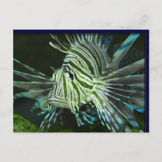 Grumpy Fish Briefkaart