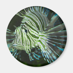 Grumpy Fish Magneet