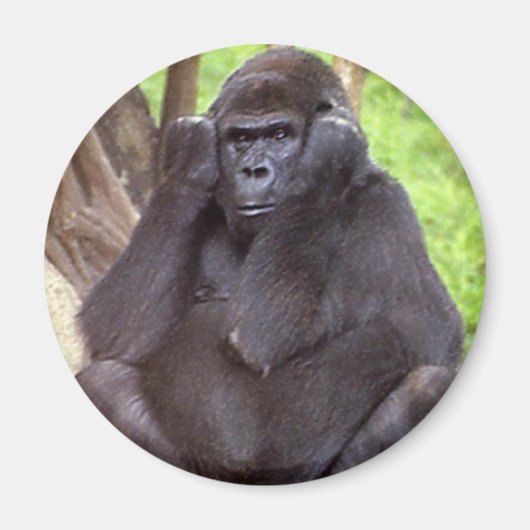Grumpy Gorilla Magneet (Voorkant)