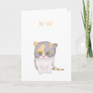 Grumpy Katie kitten krijgt een goede kaart