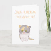 Grumpy Katie nouvelle carte chaton pour un couple (Devant)