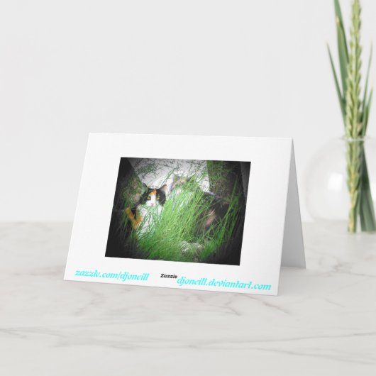 Grumpy Kitty Mange Carte d'anniversaire (Dos)