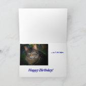 Grumpy Kitty Mange Carte d'anniversaire (Intérieur)