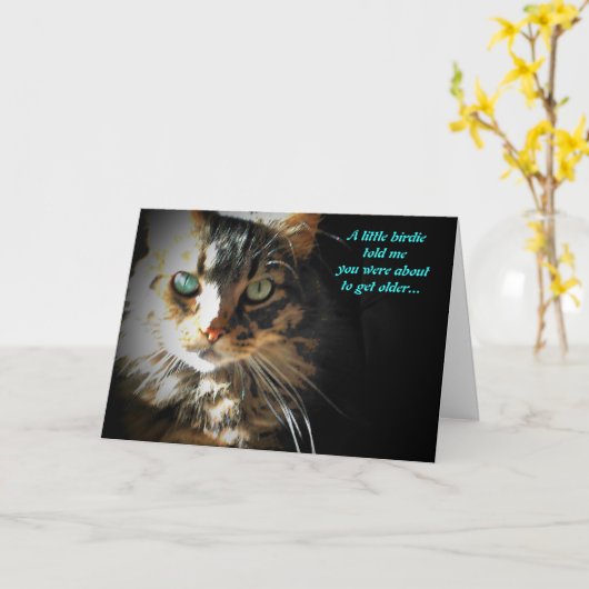 Grumpy Kitty Mange Carte d'anniversaire (Fleur jaune)