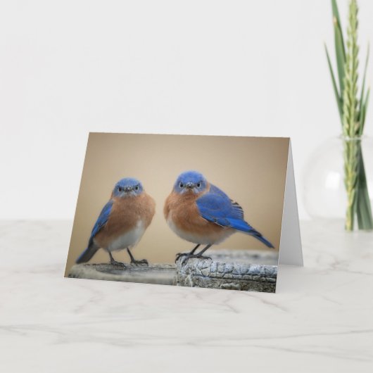 Grumpy kleine mannen kaart (Voorkant)