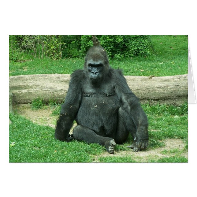 Grumpy Lowland Gorilla (Voorkant Horizontaal)