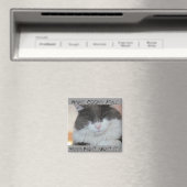 Grumpy Maine Coon Cat Magneet (Insitu (Vaatwasser))